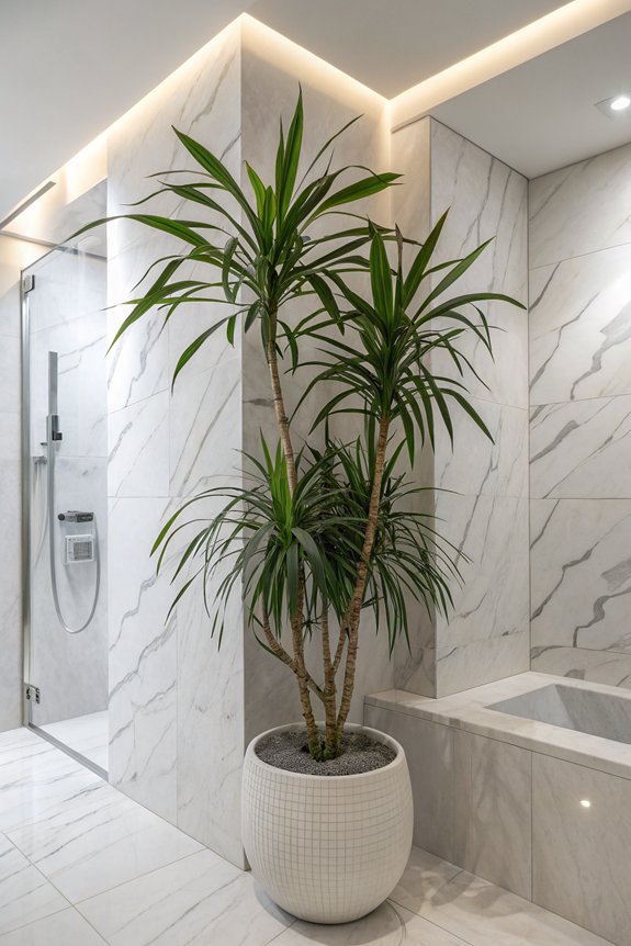 bold bathroom plant choice